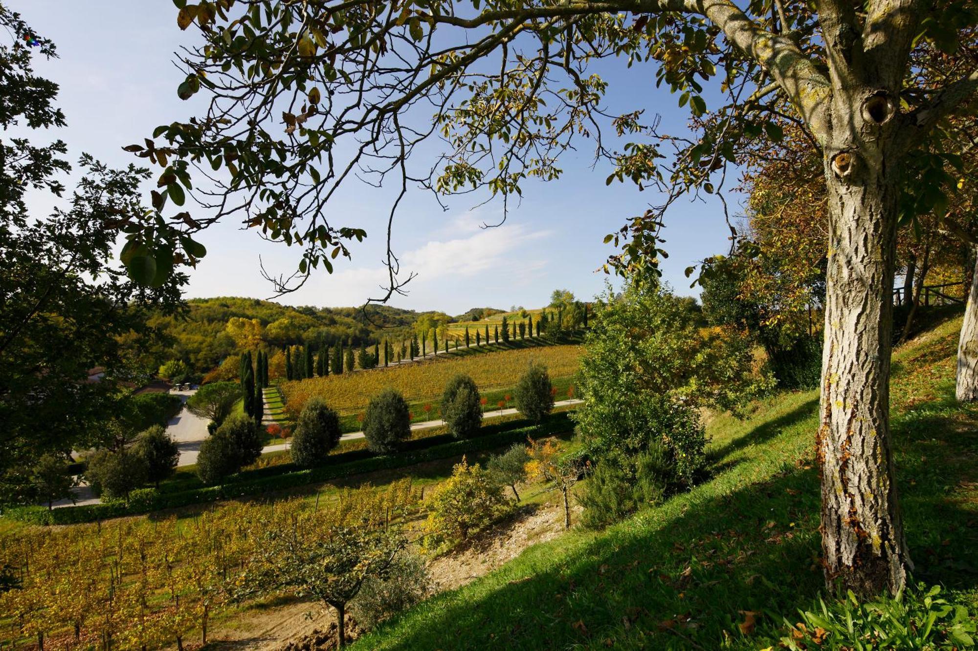 Relais Russiz Superiore Capriva del Friuli Exteriér fotografie